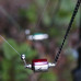 Anaconda - Vipex Steel Cube Hangers