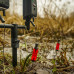 Avid Carp - Lok Down Bobbin Bite Indicator Kit
