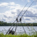 Avid Carp - Lok Down Rod Buzz Pod Avid Carp - Lok Down Rod Buzz Pod
