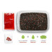 Delphin - Pellet box Reaxe READY&GO / Salmon-Crayfish