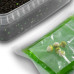 Delphin - Pellet box Reaxe READY&GO / Garlic-Butyric Delphin - Pellet box Reaxe READY&GO / Garlic-Butyric