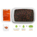 Delphin - Pellet box Reaxe READY&GO / Mango-Peach