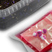 Delphin - Pellet box Reaxe READY&GO / Plum-Mulberry