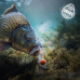 Delphin - D SNAX SHELL Wafter Frankfurter-Chilli