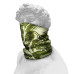 Delphin - Multifunctional Neck Gaiter CARP