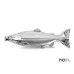 Delphin - Inox hip flask  BOOST