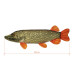 Delphin - PIKY Plush Pike