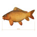 Delphin - CARPY Plush Carp