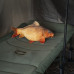 Delphin - CARPY Plush Carp