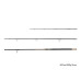 Delphin - RIVER Trophy NXT X-TREME + 4 tips