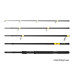 Delphin - SIXTY 280cm/100g/5 parts