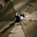 Fox - 60 Inch Brolly