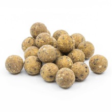 Karpfiskebutiken - Boilie 1kg Premium HQ The Nutz