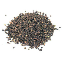 KFB Baits - Hempseed 5kg