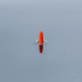 Korum - Classic Pro Quills Floats