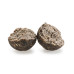 Mivardi - Rapid Boilies Starter Monster & Halibut 3500gr