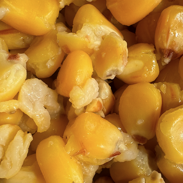 Mivardi - Ready-To-Go Maize 2,5kg Mivardi - Ready-To-Go Maize 2,5kg