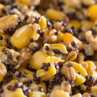 Mivardi - Ready-To-Go Particle Mix 2,5kg Mivardi - Ready-To-Go Particle Mix 2,5kg