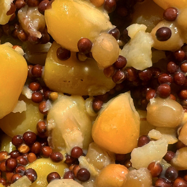 Mivardi - Ready-To-Go Particle Mix 5kg Mivardi - Ready-To-Go Particle Mix 5kg