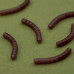 One More Cast - Dazzlers Wormaliner Curve One More Cast - Dazzlers Wormaliner Curve