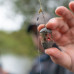 Preston Innovations - The ICM Maggot Feeder