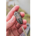 Preston Innovations - The ICM Maggot Feeder