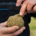 Sonubaits - Stiki Paste 500g