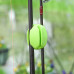 Saenger - Rod Clipper Fluo Green Saenger - Rod Clipper Fluo Green
