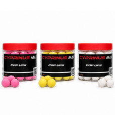 Trybion - Pop Ups Cyprinus Max 15mm Trybion - Pop Ups Cyprinus Max 15mm