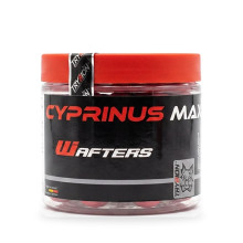 Trybion - Wafters Cyprinus Max