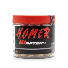 Trybion - Wafters Homer