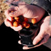 Zfish - Bait Splitter Zfish - Bait Splitter