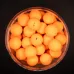 Forgotten Flavours - Tutti Frutti Pop-Ups