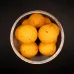 Forgotten Flavours - Scopex Hard Hookbait